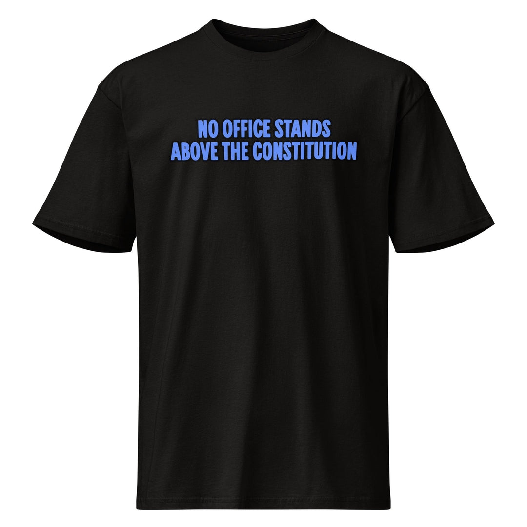 The President Constitution Graphic T-Shirt by Sweet Agitator