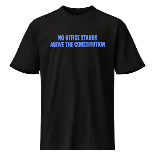 The President Constitution Graphic T-Shirt by Sweet Agitator