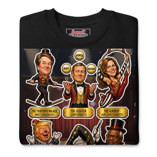 VOTING RIGHTS CIRCUS PULLOVER by Sweet Agitator
