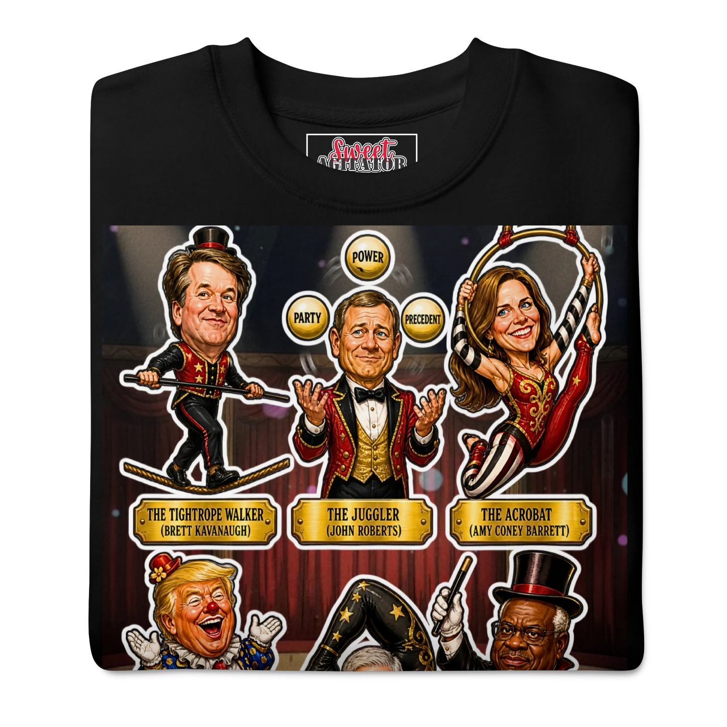 Voting Rights Circus Pullover by Sweet Agitator