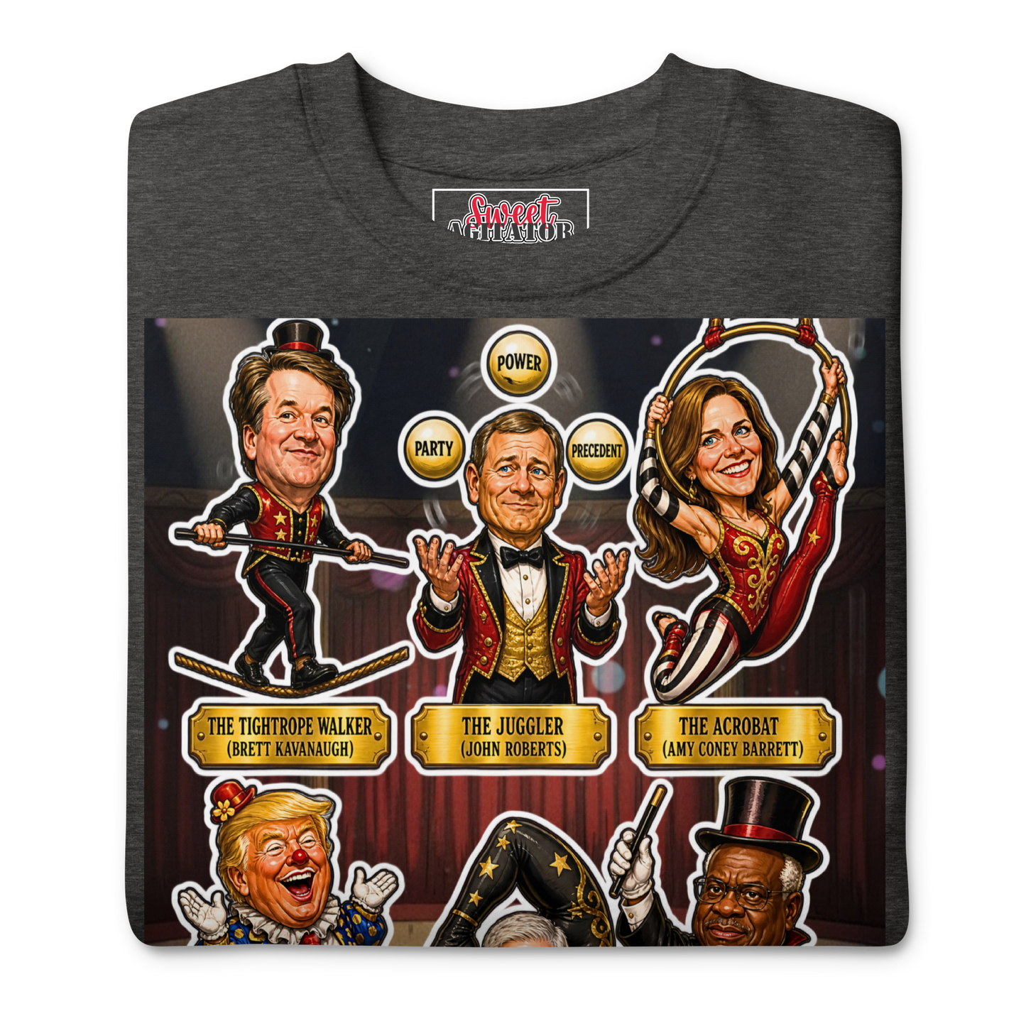 VOTING RIGHTS CIRCUS PULLOVER by Sweet Agitator