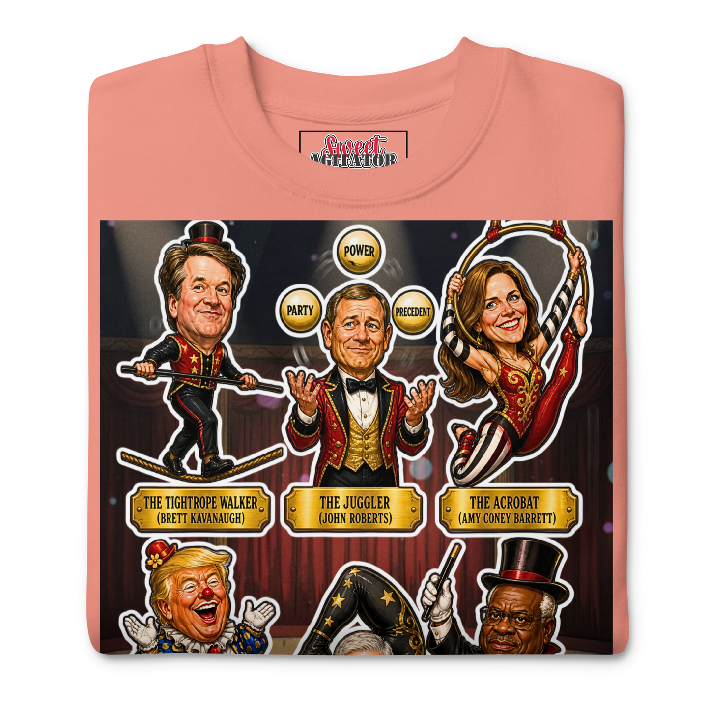VOTING RIGHTS CIRCUS PULLOVER by Sweet Agitator