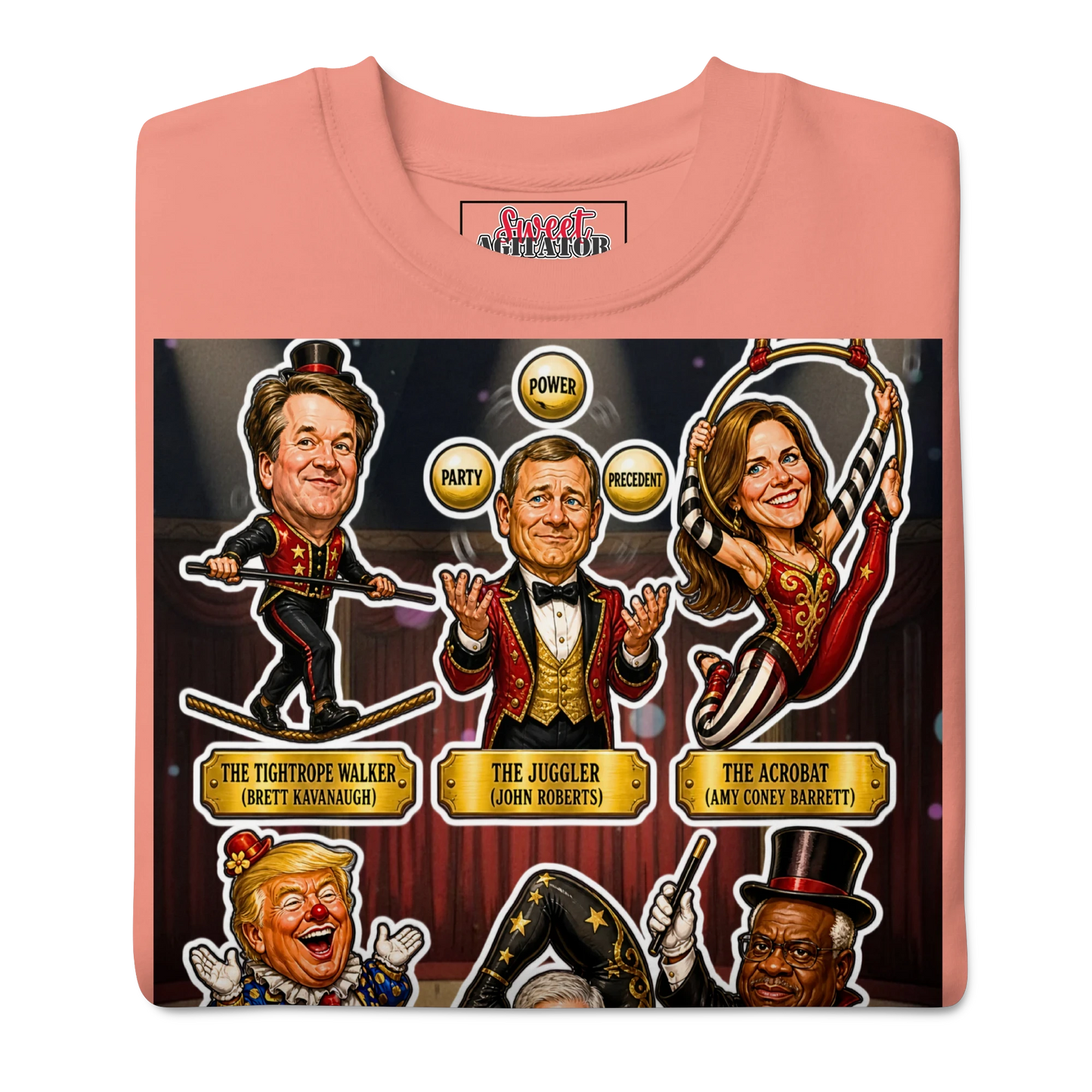 Voting Rights Circus Pullover by Sweet Agitator