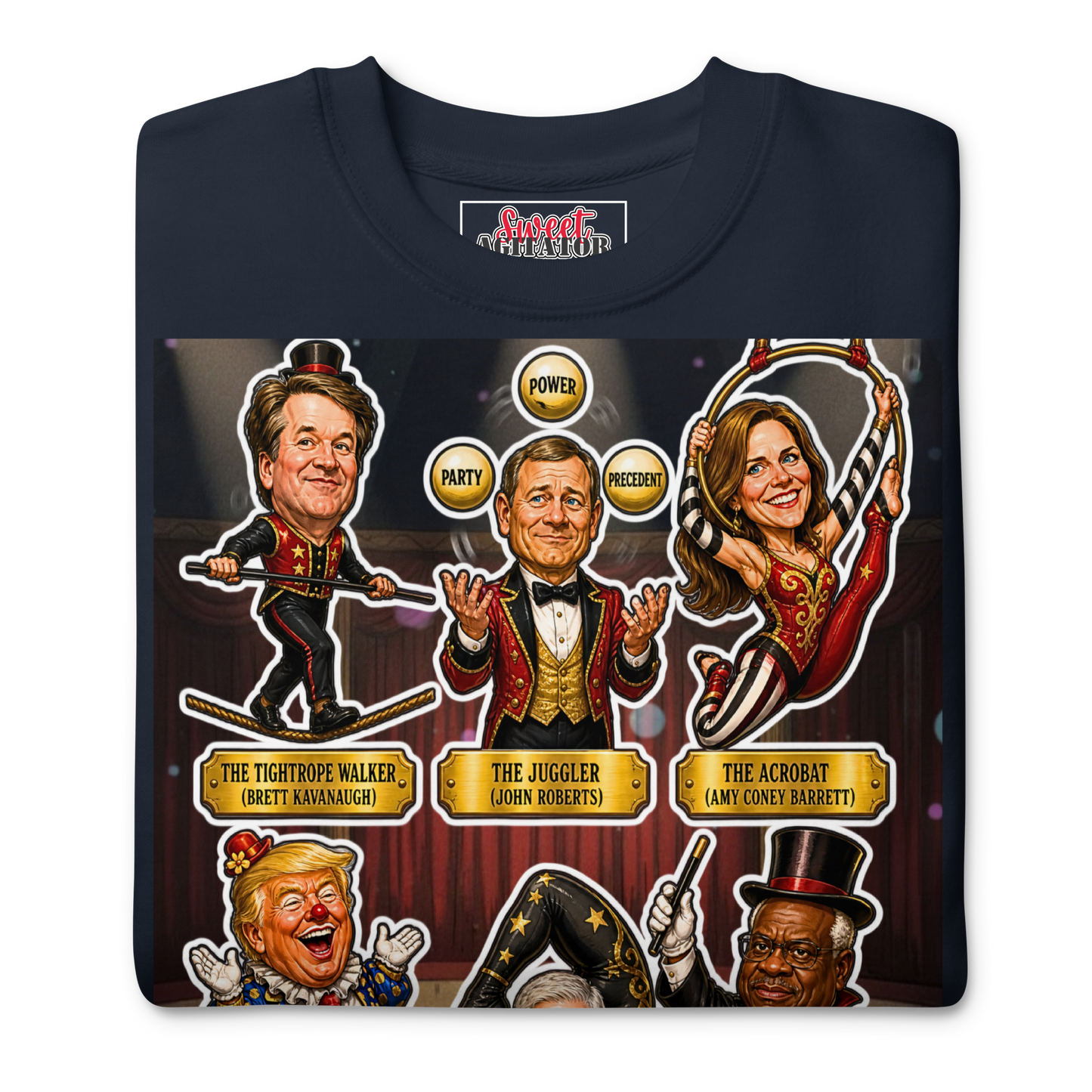VOTING RIGHTS CIRCUS PULLOVER by Sweet Agitator