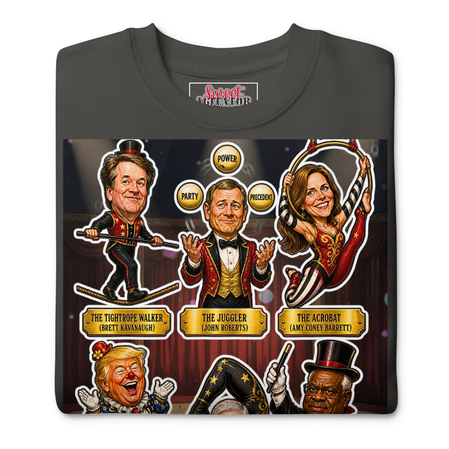VOTING RIGHTS CIRCUS PULLOVER by Sweet Agitator