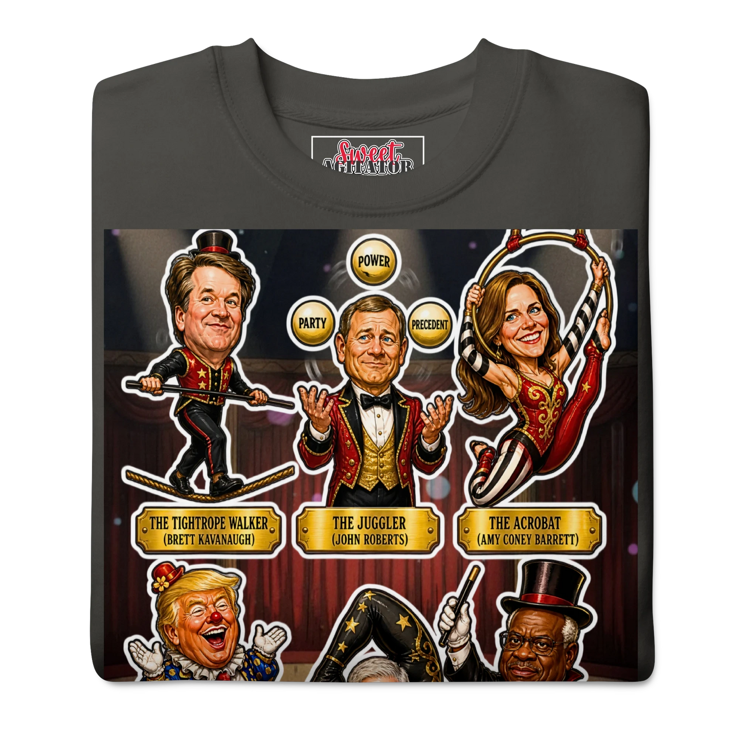 Voting Rights Circus Pullover by Sweet Agitator