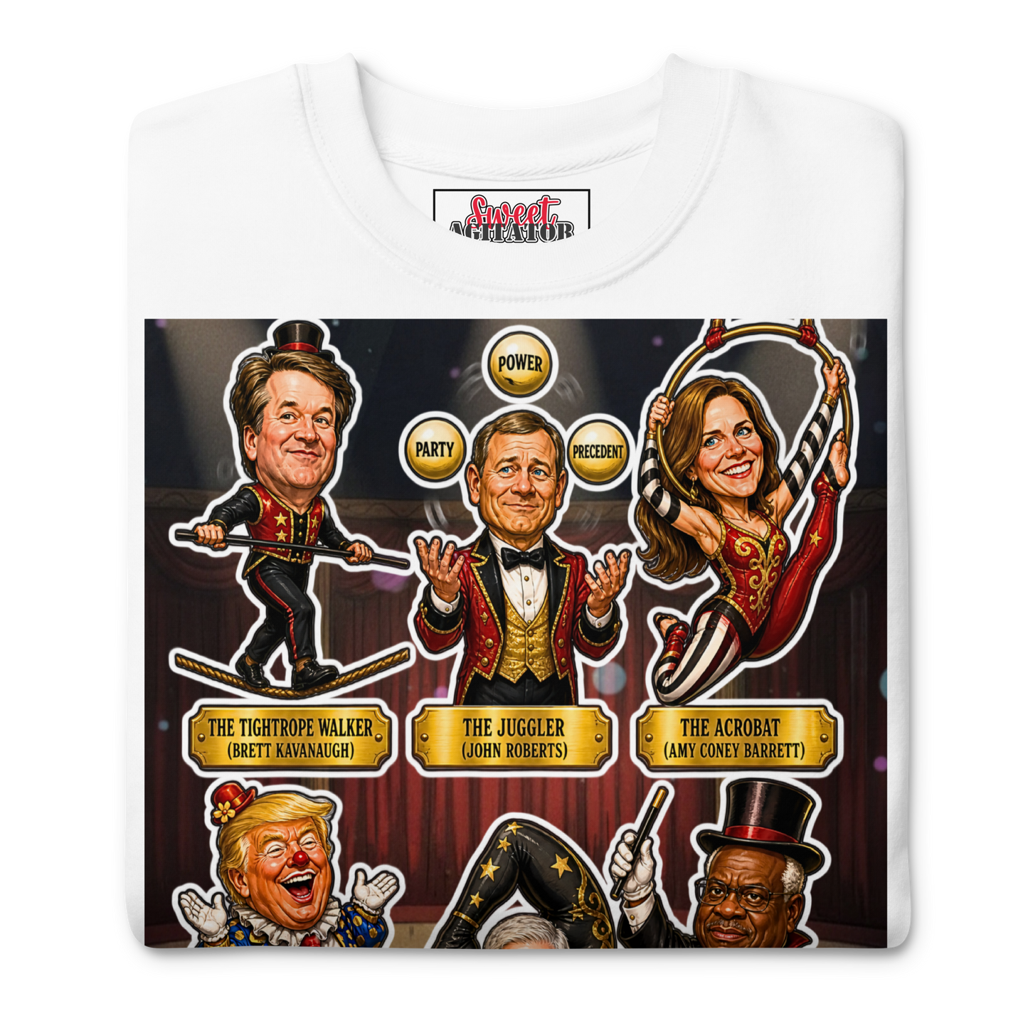 VOTING RIGHTS CIRCUS PULLOVER by Sweet Agitator