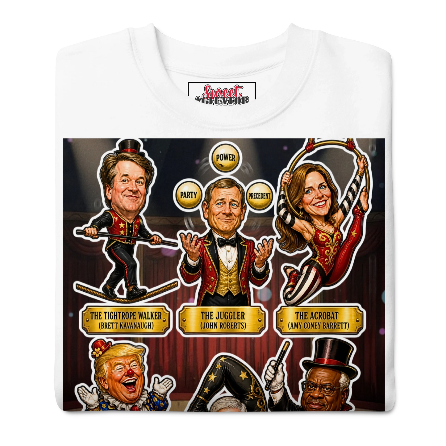 Voting Rights Circus Pullover by Sweet Agitator
