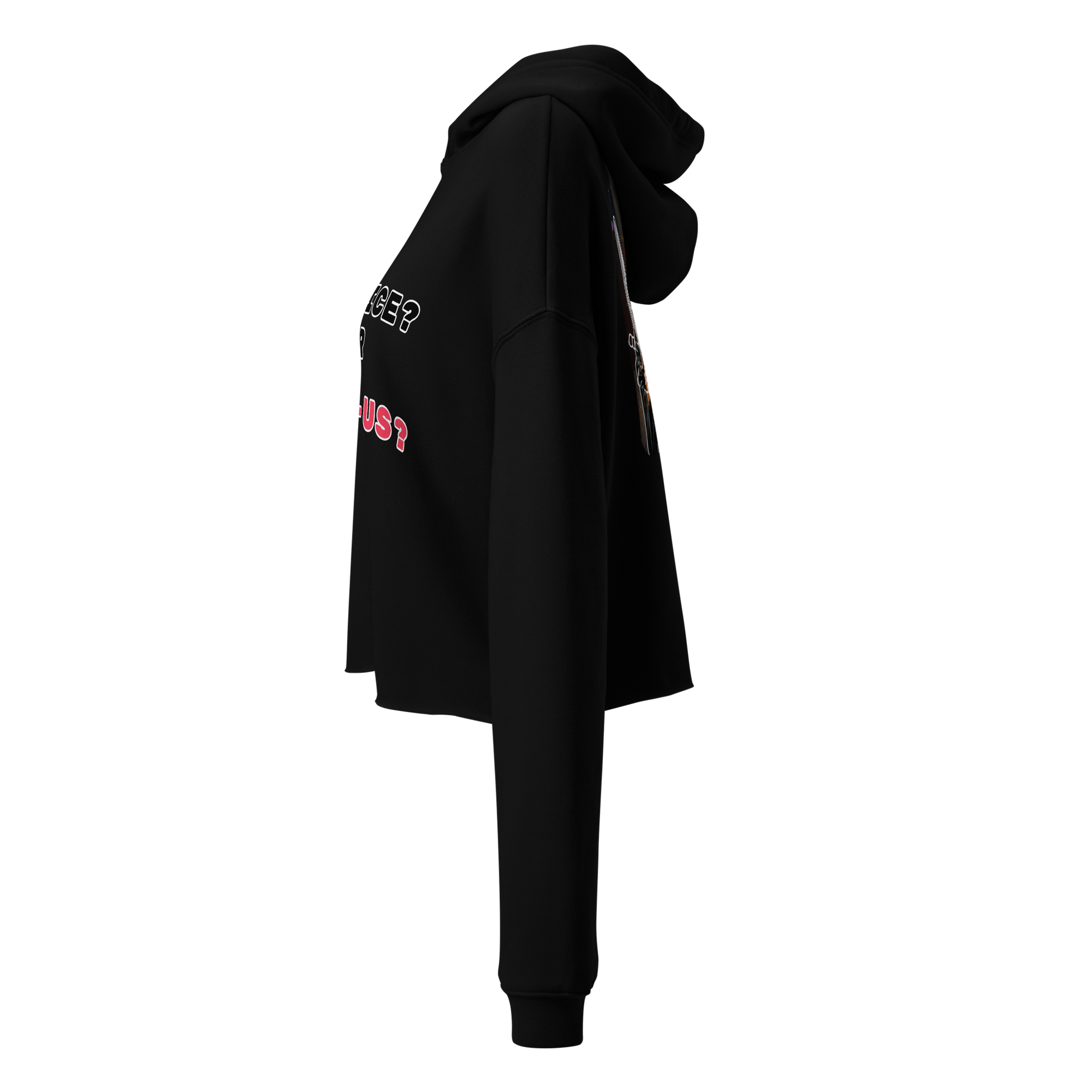 Justice or Just-Us? Crop Hoodie by Sweet Agitator